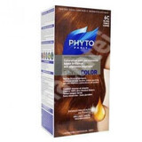 Phyto Phytocolor Colorazione Permanente Colore 6 Biondo Scuro Ramato