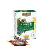 APIELIXIR respiratory health Carpathian Bee, 10 ampoules x 10 ml, Apicola