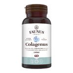 Collagene di tipo 2 per articolazioni, ossa, pelle e capelli Colagenus, 60 capsule, Faunus Plant
