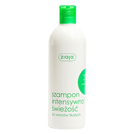 Shampoo Rinfrescante alla Menta - Freschezza Intensa 400 ml.