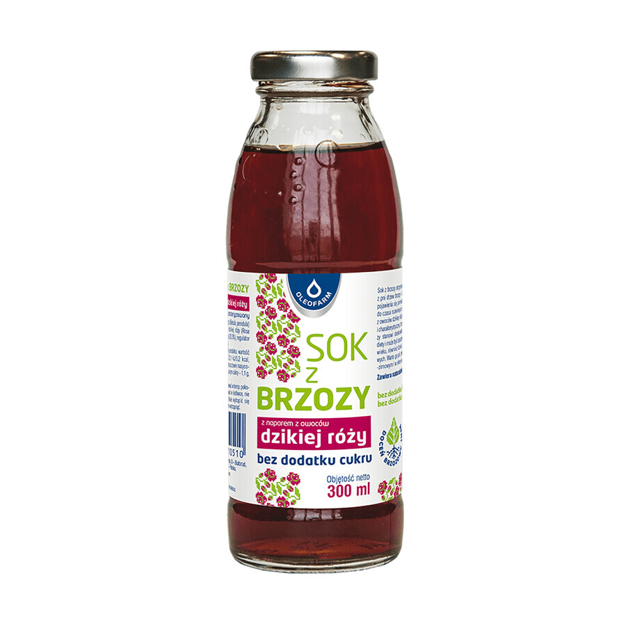 L Infuso di Betulla e Rosa Canina: Elixir Benessere Senza Zucchero, 300 ml