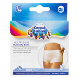 Canpol Babies Postnatal Reusable Mesh Underpants 73/001 Size S/M 2 Pack