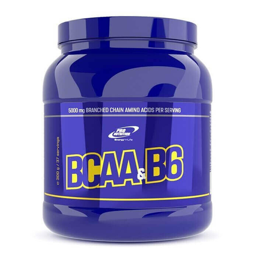 BCAA+B6 - TÉ HELADO DE MELOCOTÓN, 300g, Pro Nutrition