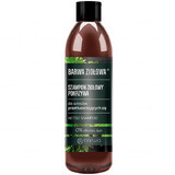 Barwa Herbal Nettle Herbal Shampoo for Oily Hair 250ml