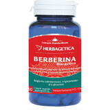 Bio-active Berberine, 60 capsules, Herbagetica