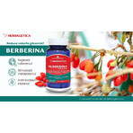 Berberina Bio-attiva, 60 capsule, Herbagetica