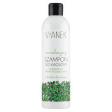 Vianek, Normalizing shampoo for normal and oily hair, 300 ml