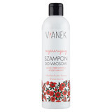 Shampoo Rivitalizzante per Capelli Biondi Colorati Vianek 300ml