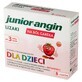 Lecca Lecca Junior-angin alla Fragola - Confezione da 8 Pezzi