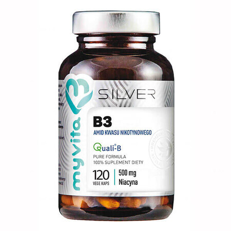ArgentoVita Plus, Integratore di Vitamina B3 con Acido Nicotinico, 120 Capsule