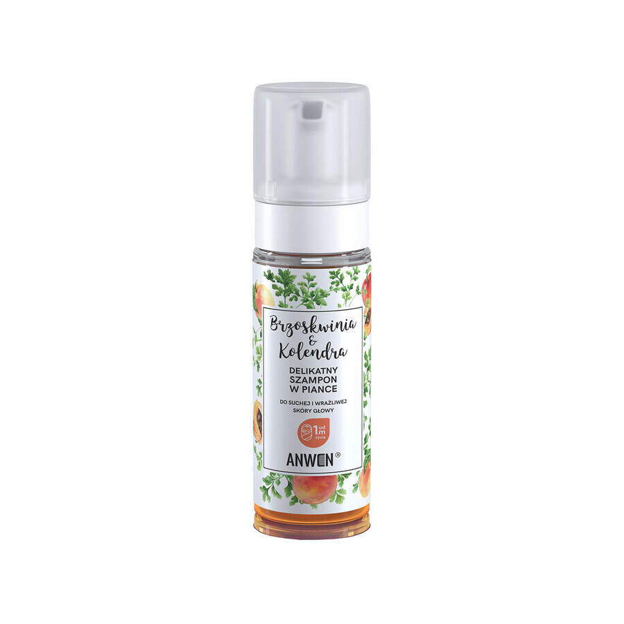 Anwen Peach and Coriander, delicate schuimshampoo voor de droge en gevoelige hoofdhuid, vanaf 1 maand, 170 ml