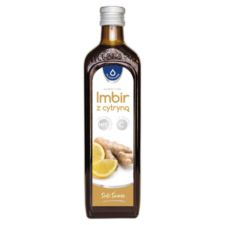 Bevanda Elementale con Zenzero, Limone e Vitamina C, 490 ml
