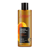 Farmona Jantar, shampoo rigenerante con essenza d&#39;ambra, capelli deboli e danneggiati, 300 ml