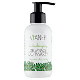 Gel detergente viso normalizzante Vianek 150ml