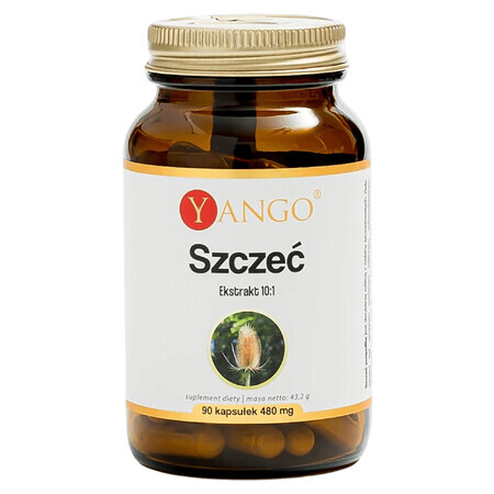 Yango Szczeć, 90 capsule