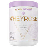 Allnutrition Alldeynn WheyRose, chocolade hazelnootsmaak met suikervrije koekjes, 500 g