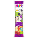 HiPP BIO Fruchtfreund Bio-Riegel, Apfel, Banane, Himbeere, nach 1 Jahr, 23 g