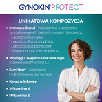 Ovuli vaginali Gynoxin Protect, 10 pezzi, Recordati