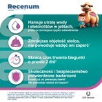 Recenum Junior, 30 mg, granulato per sospensione orale, sopra i 6 anni, 10 bustine