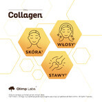 Olimp Collagen Shot, gusto ananas, 25 ml