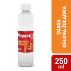 Alugastrin 1,02 g/ 15 ml, Suspension zum Einnehmen, Minzgeschmack, 250 ml