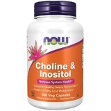 Now Foods Choline &amp; Inositol, colina e inositolo, 100 capsule