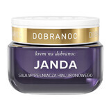 Janda Hyalusferic, crema per la notte, 50 ml