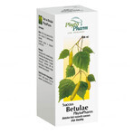 Succus Betulae Phytopharm 2,33 g/ 2,5 ml, liquide oral, 100 ml