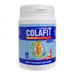 GorVita Colafit, 60 cubetti