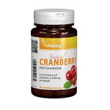 Canadian Cherry Extract, 90 capsules, Vitaking