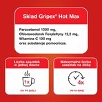 Gripex Hot Max 1000 mg + 100 mg + 12,2 mg, 8 sobres