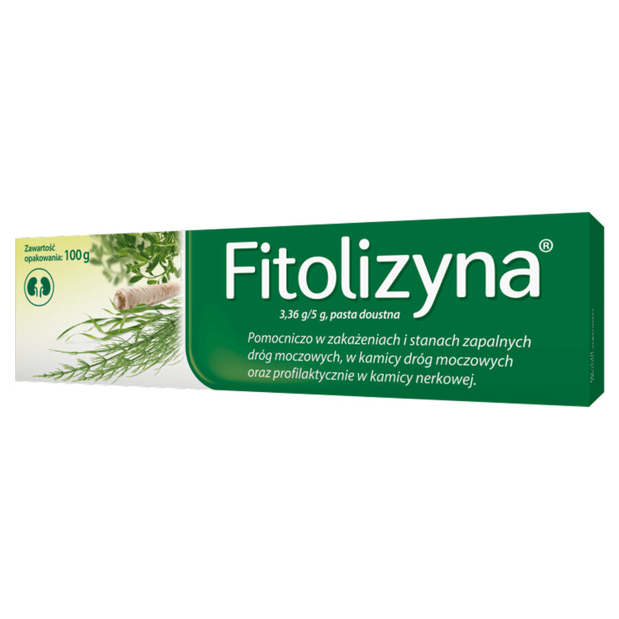 Fitolisina 3,36 g/ 5g, pasta orale, 100 g