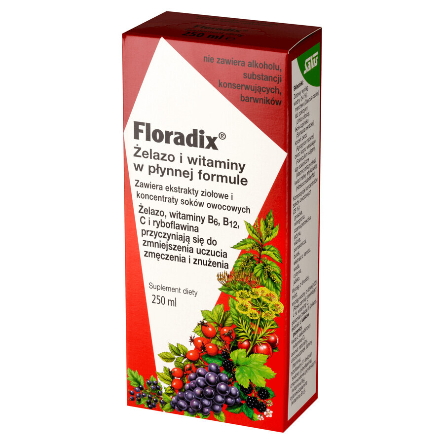 Floradix Ferro e Vitamine, 250 ml