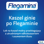 Flegamina 4 mg/ 5 ml, sciroppo, aroma di lampone, 120 ml