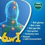 Vicks AntiGrip Complex 500 mg + 200 mg + 10 mg, poudre pour solution orale, 10 sachets