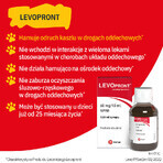 Levopront 60 mg/ 10 ml, sciroppo, 120 ml