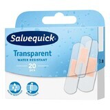 Salvequick Transparent, cerotti trasparenti per medicazioni, impermeabili, 20 pezzi