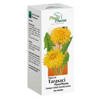 Succus Taraxaci Phytopharm 4,85 g/ 5 ml, lichid oral, 100 ml