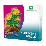 Alter Medica Arctic Root, 60 tablets