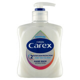 Carex Moisture Plus, antibacterial liquid soap, 250 ml