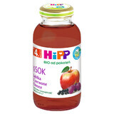 HiPP 100% Bio-Saft, rote Früchte, nach 4 Monaten, 200 ml