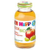 HiPP Saft 100% Bio, Apfel-Traube, ohne Zuckerzusatz, nach 4 Monaten, 200 ml