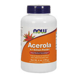 Now Foods Acerola 4:1 Estratto in polvere, 170 g