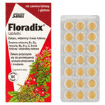 Floradix Fier și vitamine, 84 comprimate