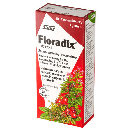 Floradix Fier și vitamine, 84 comprimate