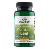 Swanson Full Spectrum Plantain Leaf, piantaggine, 60 capsule