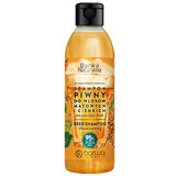 Barwa Natural Beer Shine Restore Shampoo 300 ml