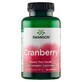 Swanson Cranberry, mirtillo rosso, 180 capsule