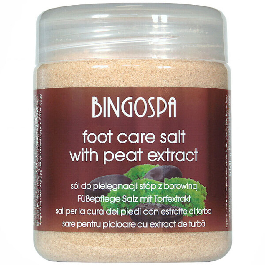 Bingospa, sale per piedi al fango, 550 g