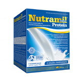 Olimp Nutramil Complex Protein, preparato nutrizionale, gusto neutro, 72 g x 6 bustine